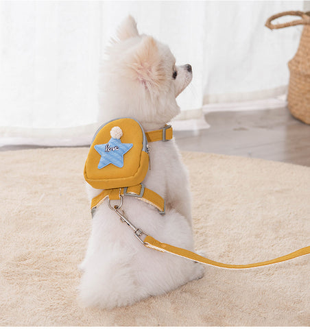 Cat and Dog Harness and Leash Set