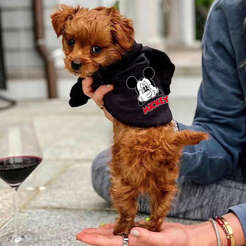 Disney Cute Pet Dog Clothes